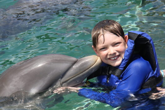 Dolphin Funtastic - Swim with Dolphin