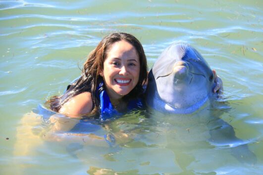 Dolphin Explorer