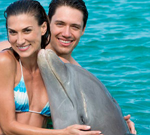 Dolphin Excellence